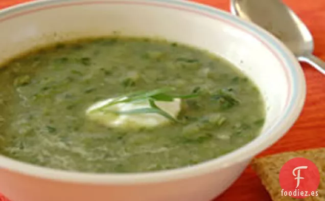 Sopa de Lechuga y Estragón