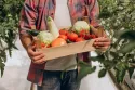 5 pautas simples para desmitificar la «cocina de temporada»