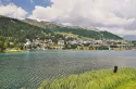 Festival Gourmet de St. Moritz: una reunión mundial de los mejores chefs